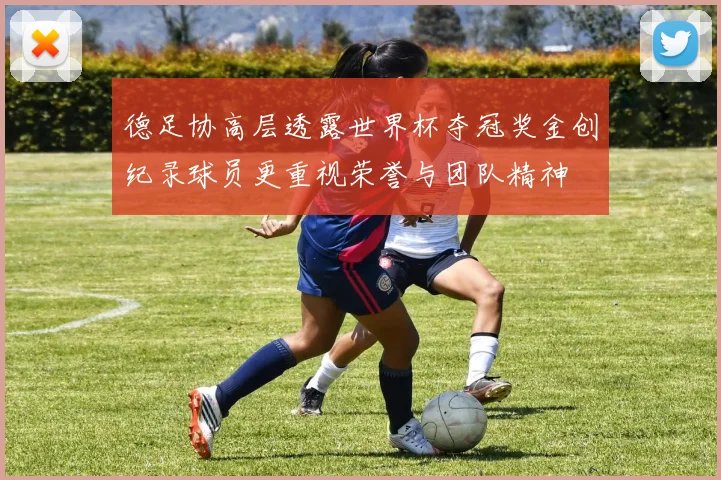 德足协高层透露世界杯夺冠奖金创纪录球员更重视荣誉与团队精神